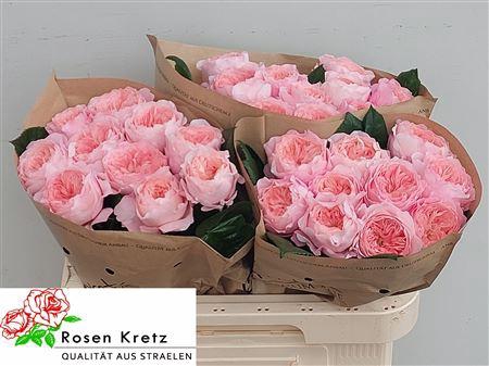 <h4>R Gr Mayfield!</h4>