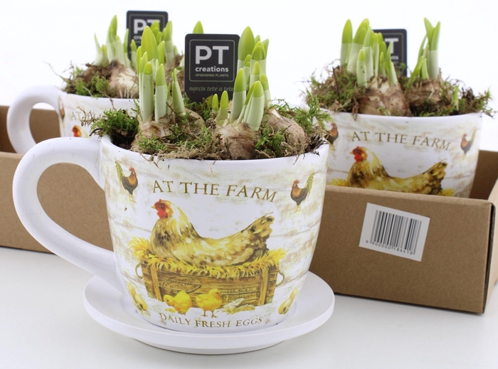 <h4>ARR N TETE A TETE</h4>