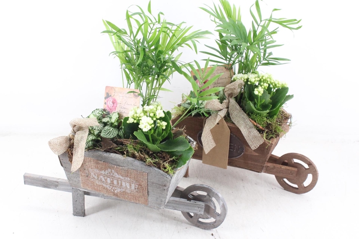 <h4>arr2 TD - Houten kruiwagen - wit</h4>