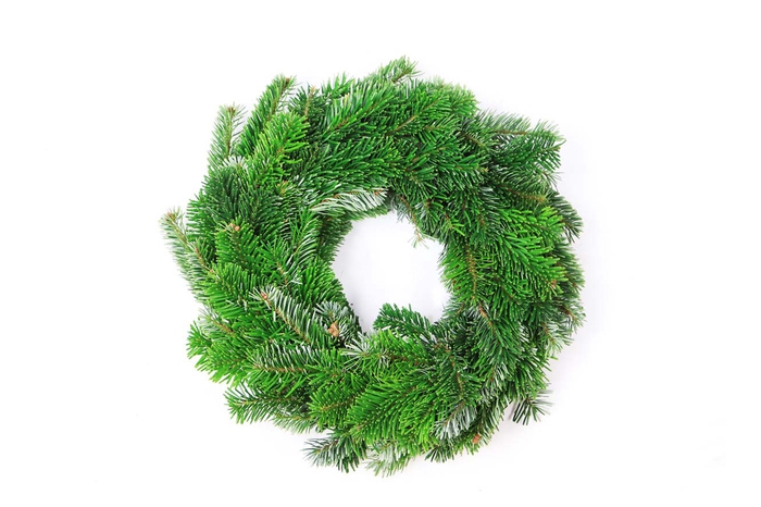 <h4>Wreath Nobilis Half round</h4>