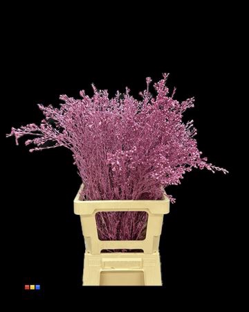 <h4>Waxflower Metallic Cerise</h4>