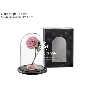 Dome Sofia Pin04 Bulk