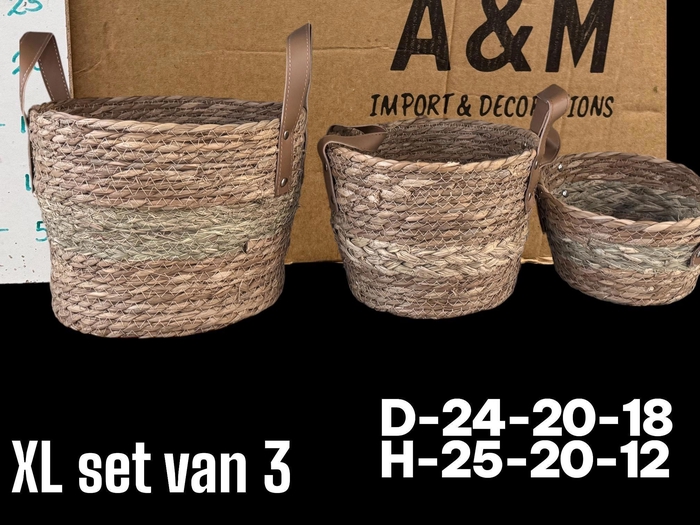 <h4>MANDWERK H%</h4>