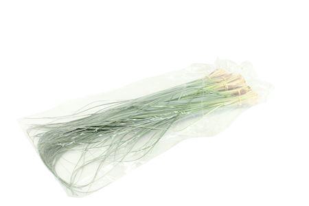 <h4>Xerophyllum tenax Beargrass per bos</h4>