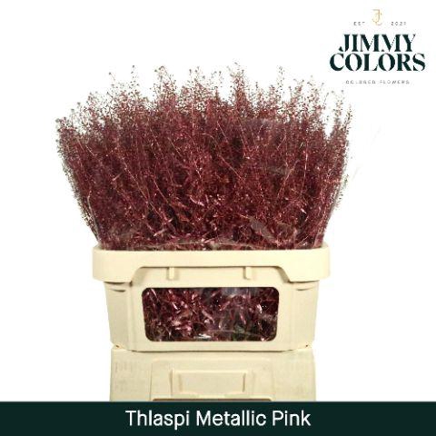 <h4>Thlaspi Gekleurd Mtlc. Pink</h4>