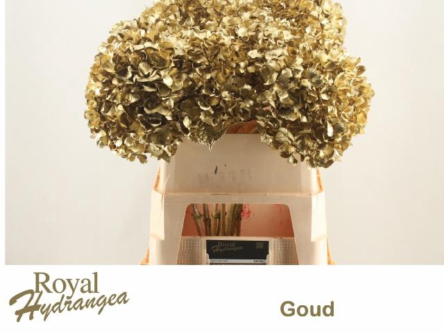 <h4>HYDR OV KLB H%</h4>