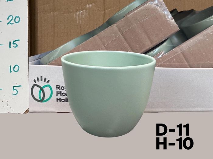 <h4>POT H%</h4>
