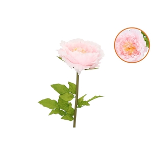 Silk Amazing Peony Beauty Light Pink Xxl 48x128cm