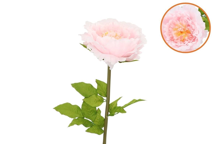 <h4>Silk Amazing Peony Beauty Light Pink Xxl 48x128cm</h4>