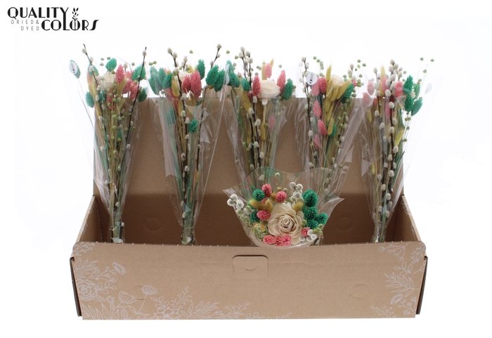 Spring BQT Frosted Mint/Frosted Pink