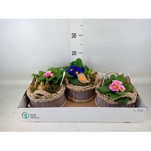 Arr.   Tuinplanten L%