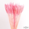 Dried Silk Worms Extra L. Pink Bunch