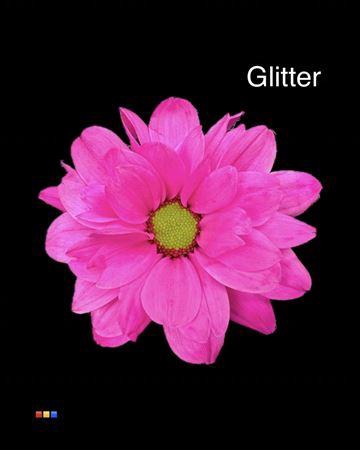 <h4>Chr T Chic Cerise + Glit Bio</h4>