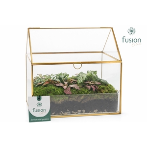 Glazen huis met arrangement