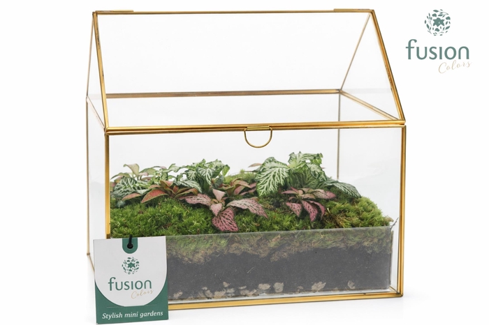 <h4>Glazen huis met arrangement</h4>