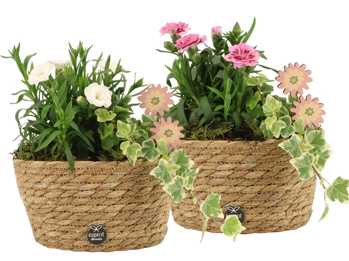 <h4>11663: Outdoor spring arrangement</h4>