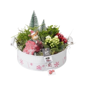 PTKB9425 Arrangement Kerst in zink schaal