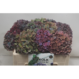 HYDR M MIDNIG SKY CL