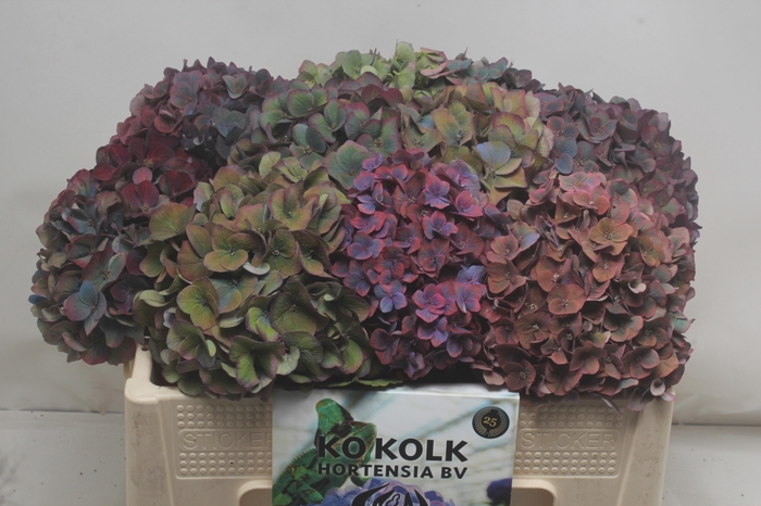 <h4>HYDR M MIDNIG SKY CL</h4>