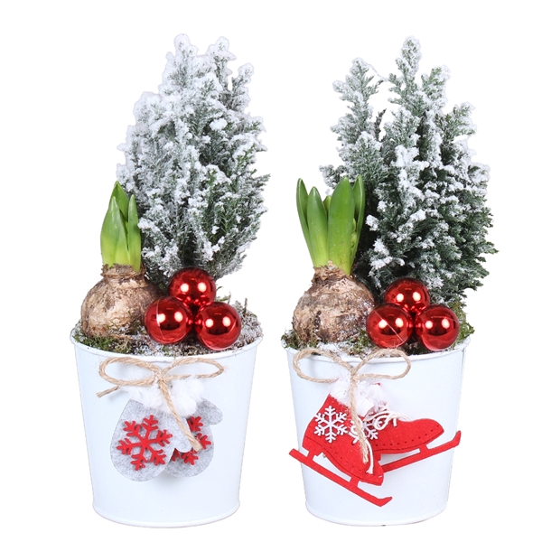 <h4>Christmas Arr. Outdoor Zinc pot X-mas White ø12cm with 2PP</h4>