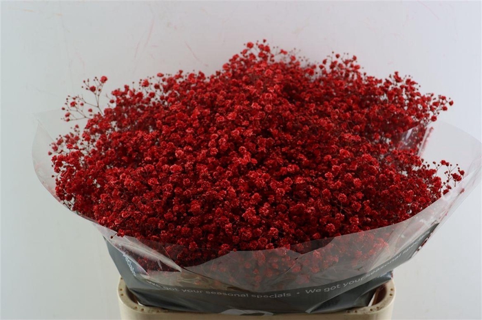 <h4>Gyps Grof Rood (dip)</h4>