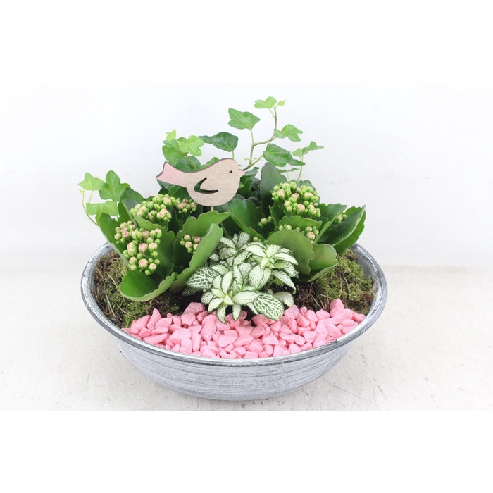 <h4>Arr2 Pl - Zink Antiekschaal - Roze</h4>