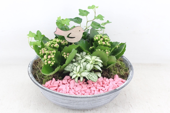 <h4>arr2 PL - Zink antiekschaal - roze</h4>