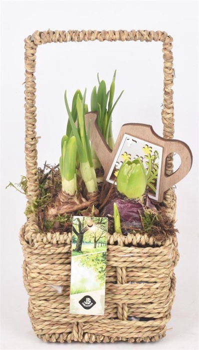 <h4>Touw mand vierkant 12,5x12,5cm</h4>