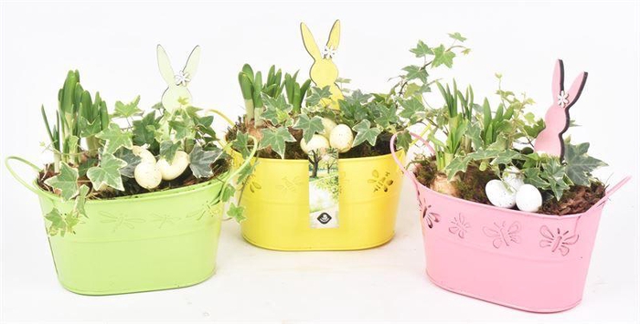 <h4>Zink ovaal vlinder 22x13</h4>