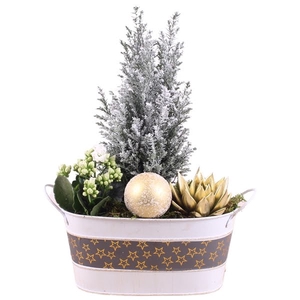 Christmas Arr. Indoor Zinc pot with Stars Ø23cm with 3pp