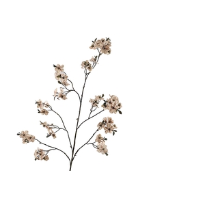 Cherry Blossom Beige