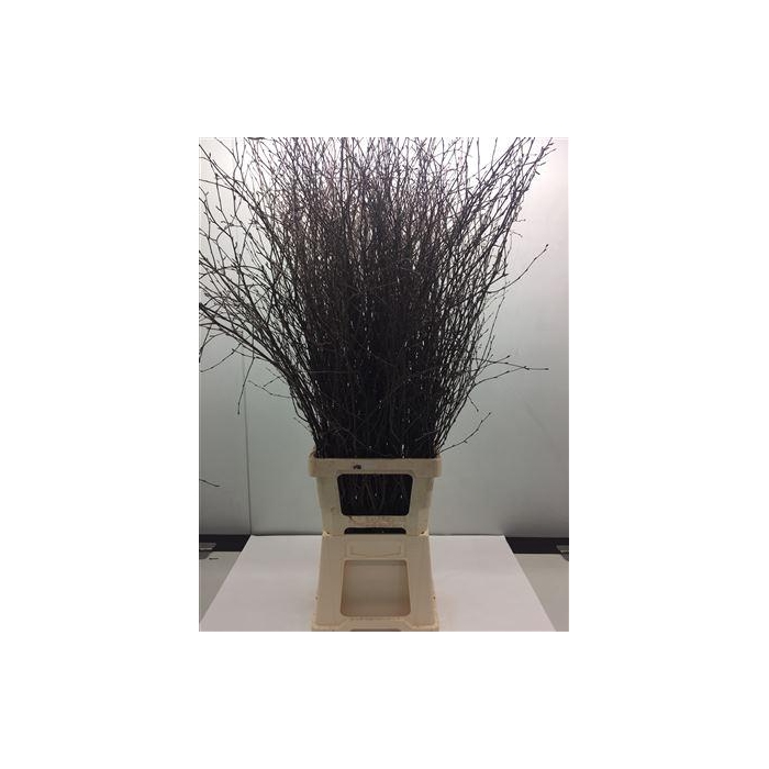<h4>Berk Naturel 110 Cm</h4>