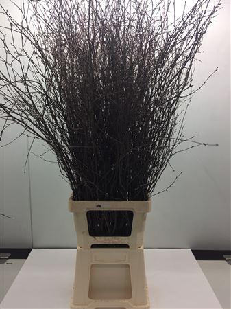 Berk Naturel 110 Cm