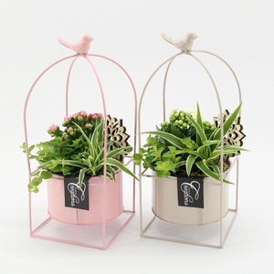 ESCR-2606M Essentials