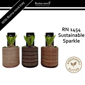 Hya Rom 1454 Sustainable Sparkle
