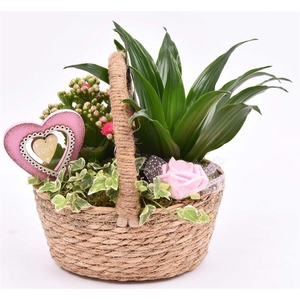 Natuur hengselmand 22x19cm