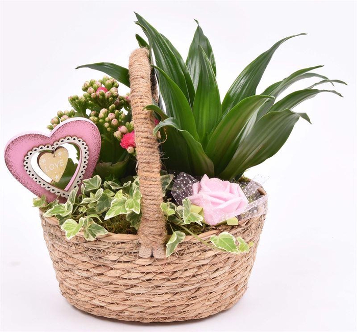 <h4>Natuur hengselmand 22x19cm</h4>