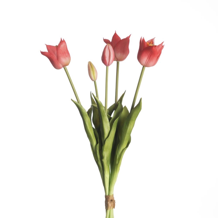 AF Tulip Bundle x5 L45cm Beaut