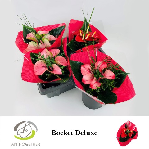 <h4>Boeket Deluxe 5 bloem Rood 4</h4>