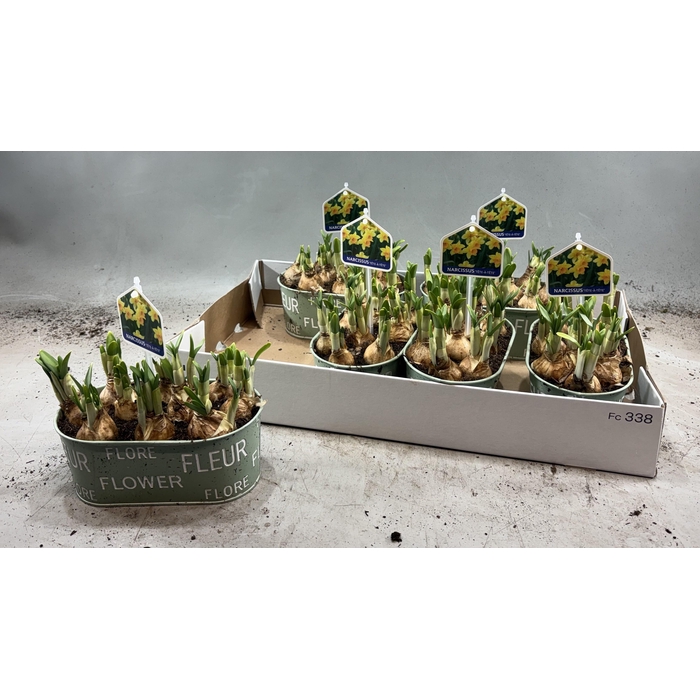 <h4>ARR N TETE A TETE</h4>