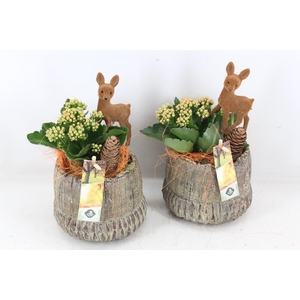 arr2 JS - Ker. herfst pot staand