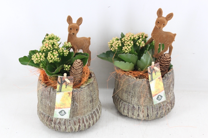 <h4>arr2 JS - Ker. herfst pot staand</h4>
