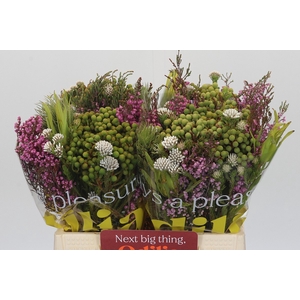 BQ Kaaps Groen Mountain Mix