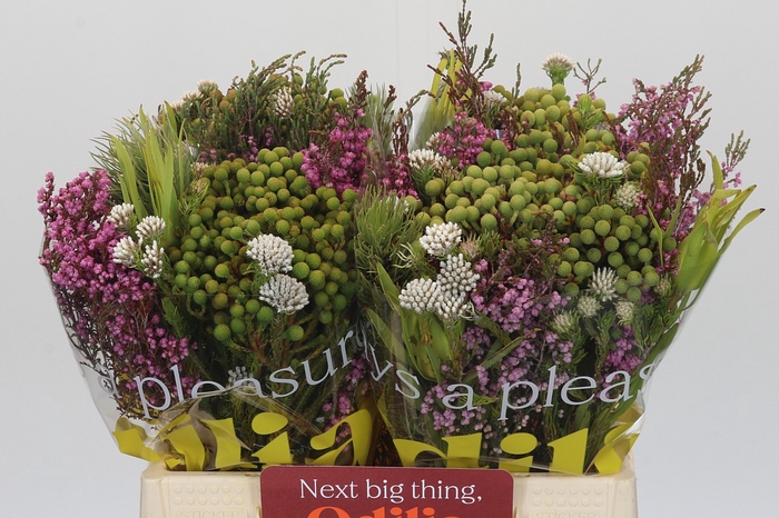 <h4>BQ Kaaps Groen Mountain Mix</h4>