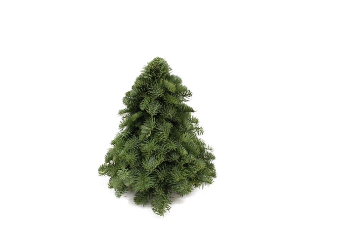 Kerstboom Nobilis 30