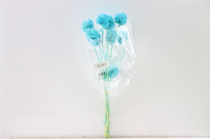 <h4>Pres Scabiosa St 10pc L Blue Bunch Slv</h4>