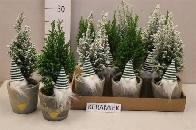 <h4>CHAM L ELLWOODII</h4>