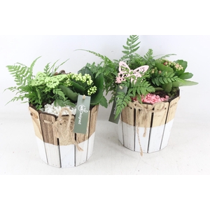 arr2 MB - Hout ton duo - roze/wit