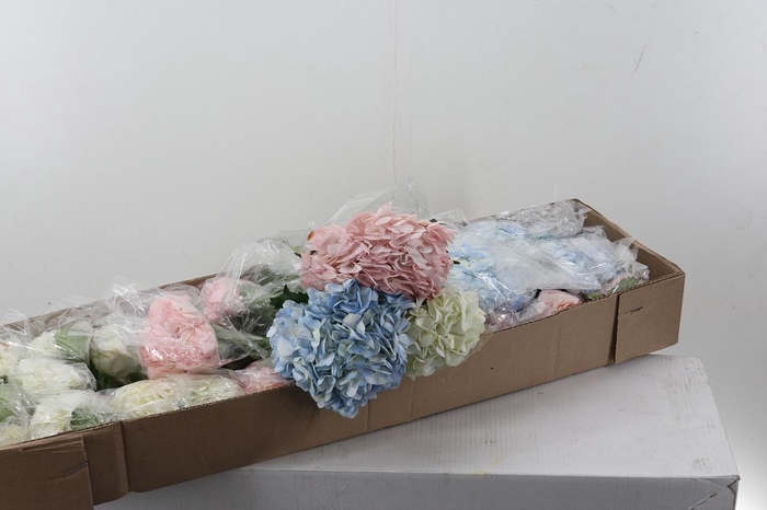 <h4>Hydr Mix Assorted Select</h4>