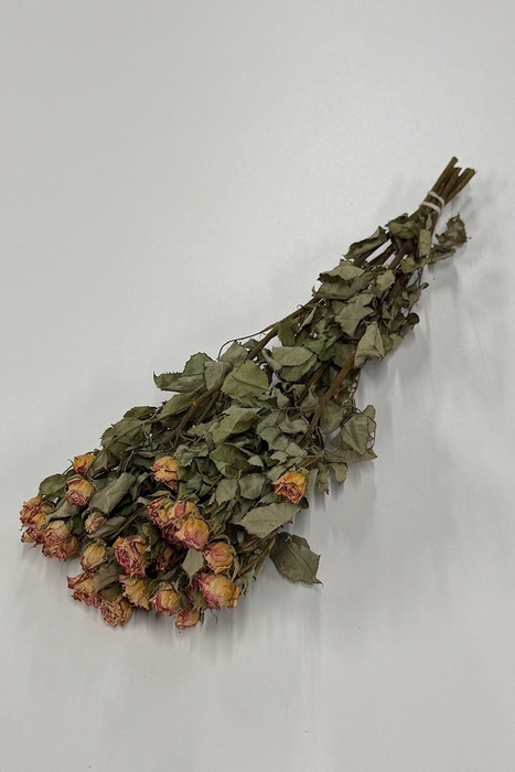 <h4>DROOG ROSES SPRAY PINK SPRAY PINK</h4>